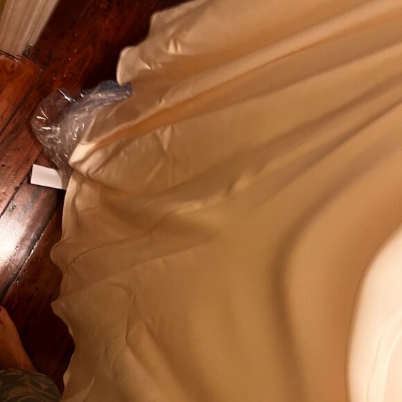 Alexandra Grecco Celia Wedding Gown Size 12 - Picture 3 of 9